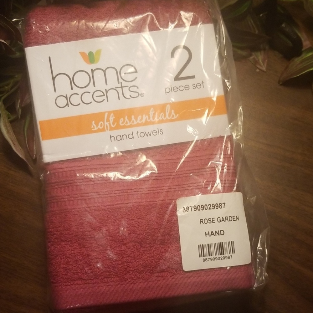 🆕️home accent  2 pc set hand towels